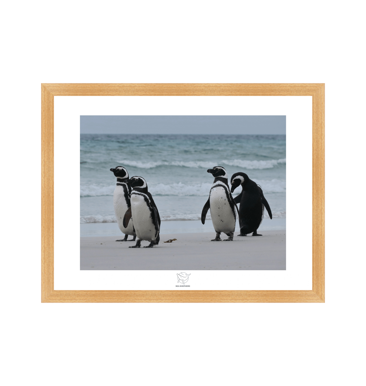 Natural Frame Fine art print Front