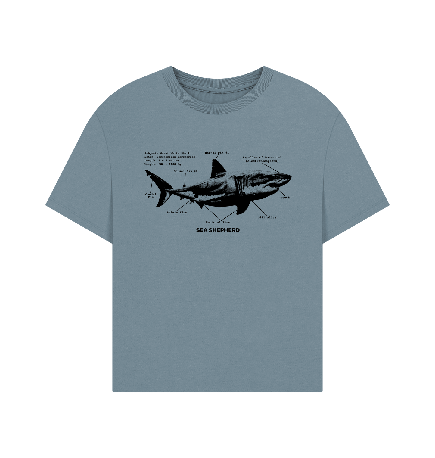 Stone Blue Printed T-shirt
