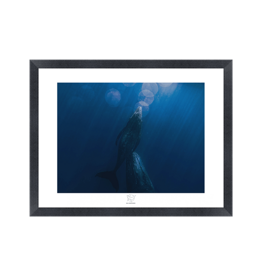 Black Frame Fine art print Front