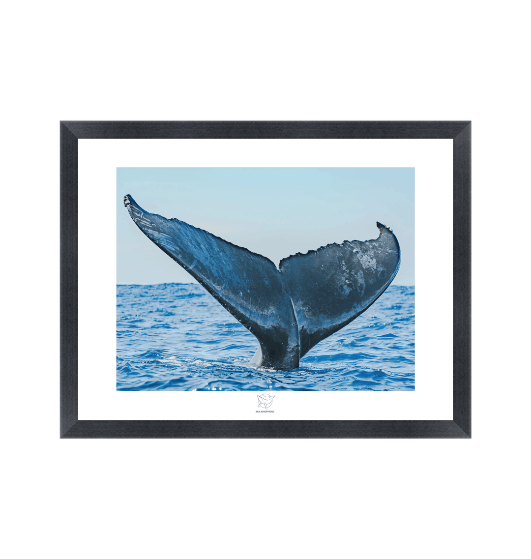 Black Frame Fine art print Front