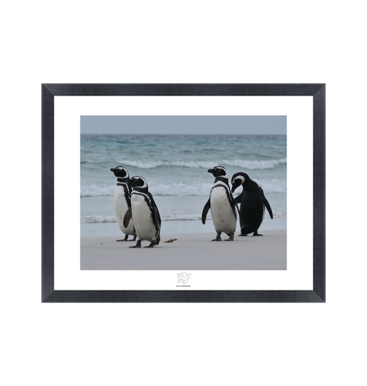 Black Frame Fine art print Front