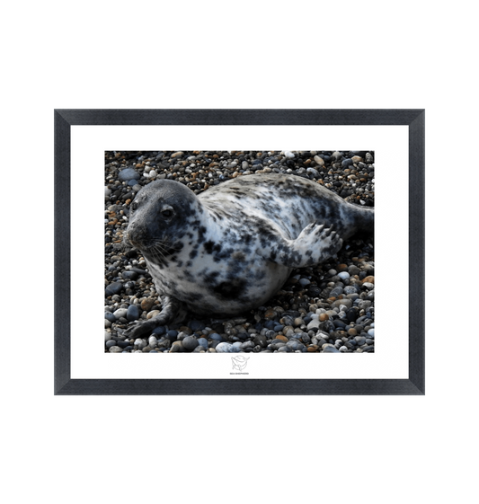 Black Frame Fine art print Front