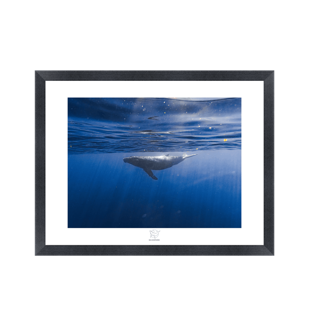 Black Frame Fine art print Front
