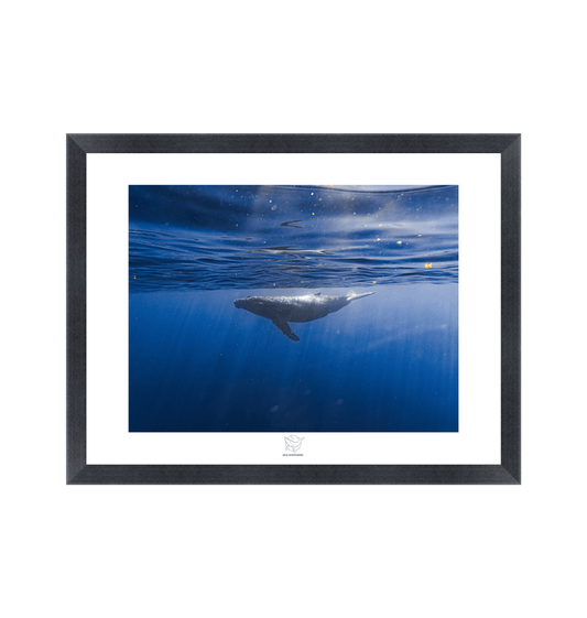 Black Frame Fine art print Front