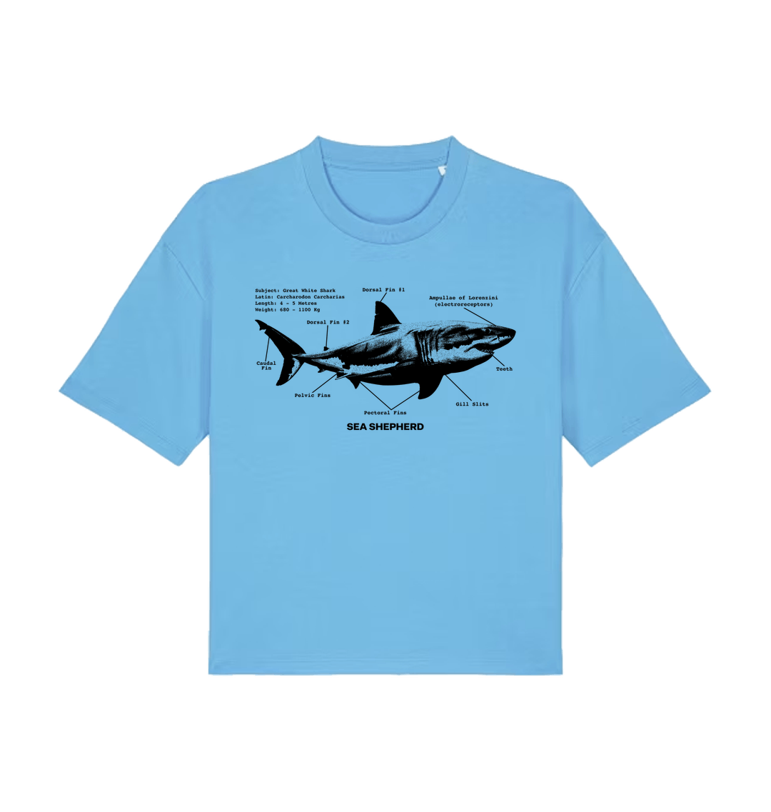 Aqua Blue Printed T-shirt Front