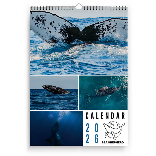 Sea Shepherd Whale Calendar 2026 Preorder