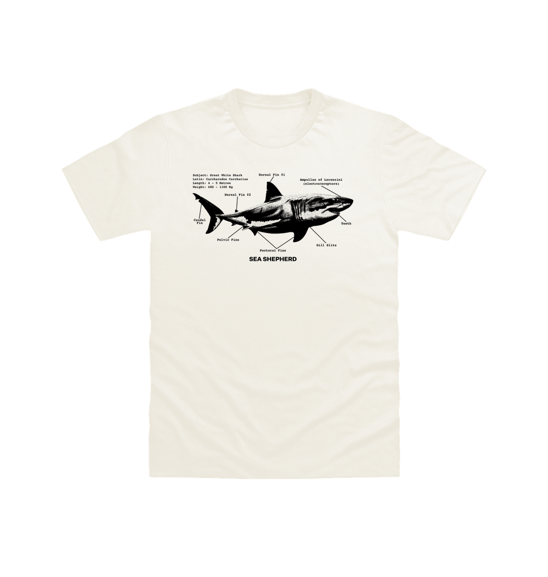 Off White Printed T-shirt Front