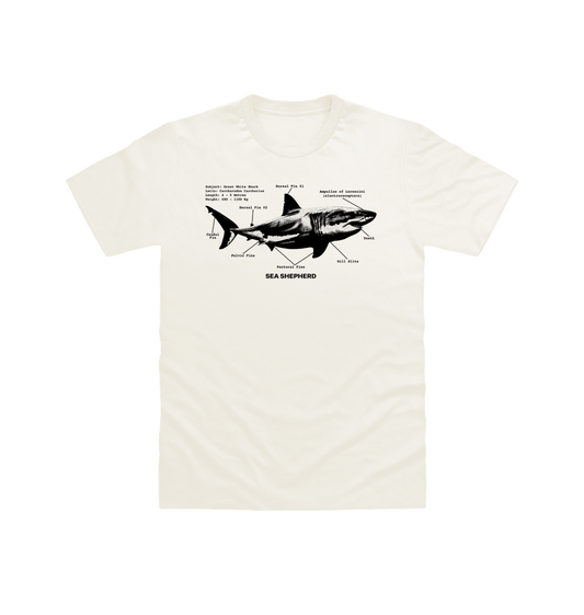 Off White Printed T-shirt Front