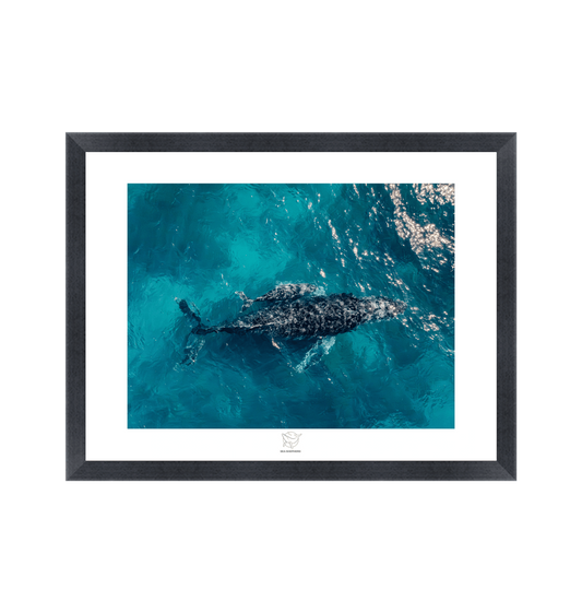 Black Frame Fine art print Front