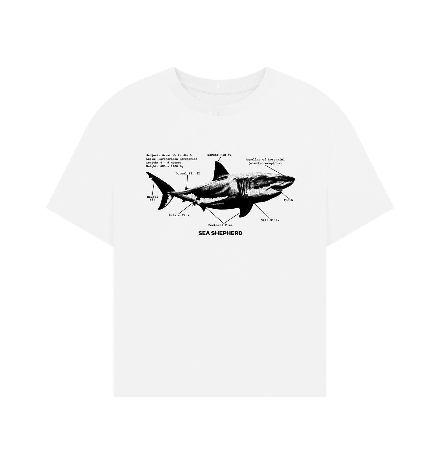 White Printed T-shirt