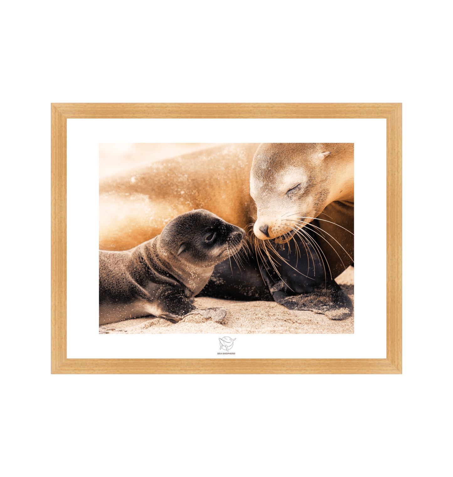 Natural Frame Fine art print Front