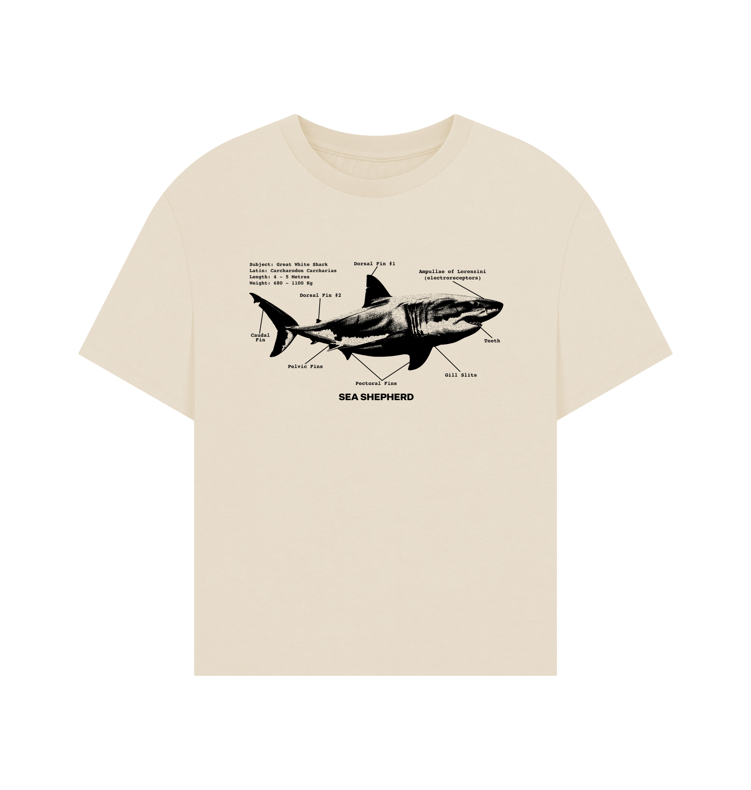 Oat Printed T-shirt