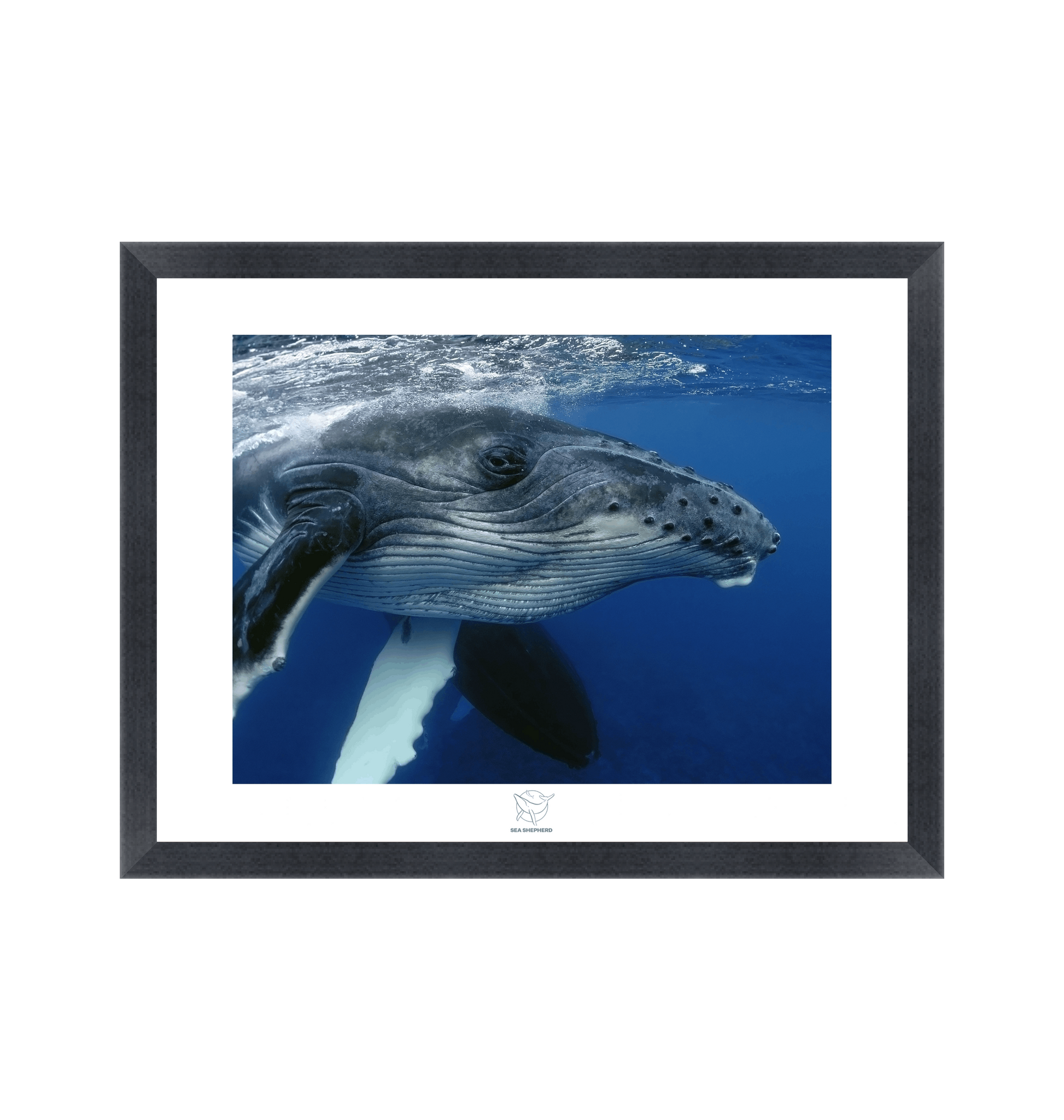 Black Frame Fine art print Front