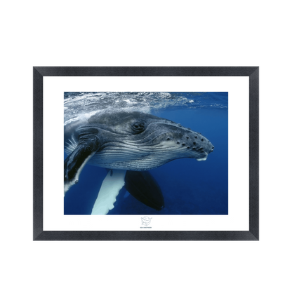 Black Frame Fine art print Front