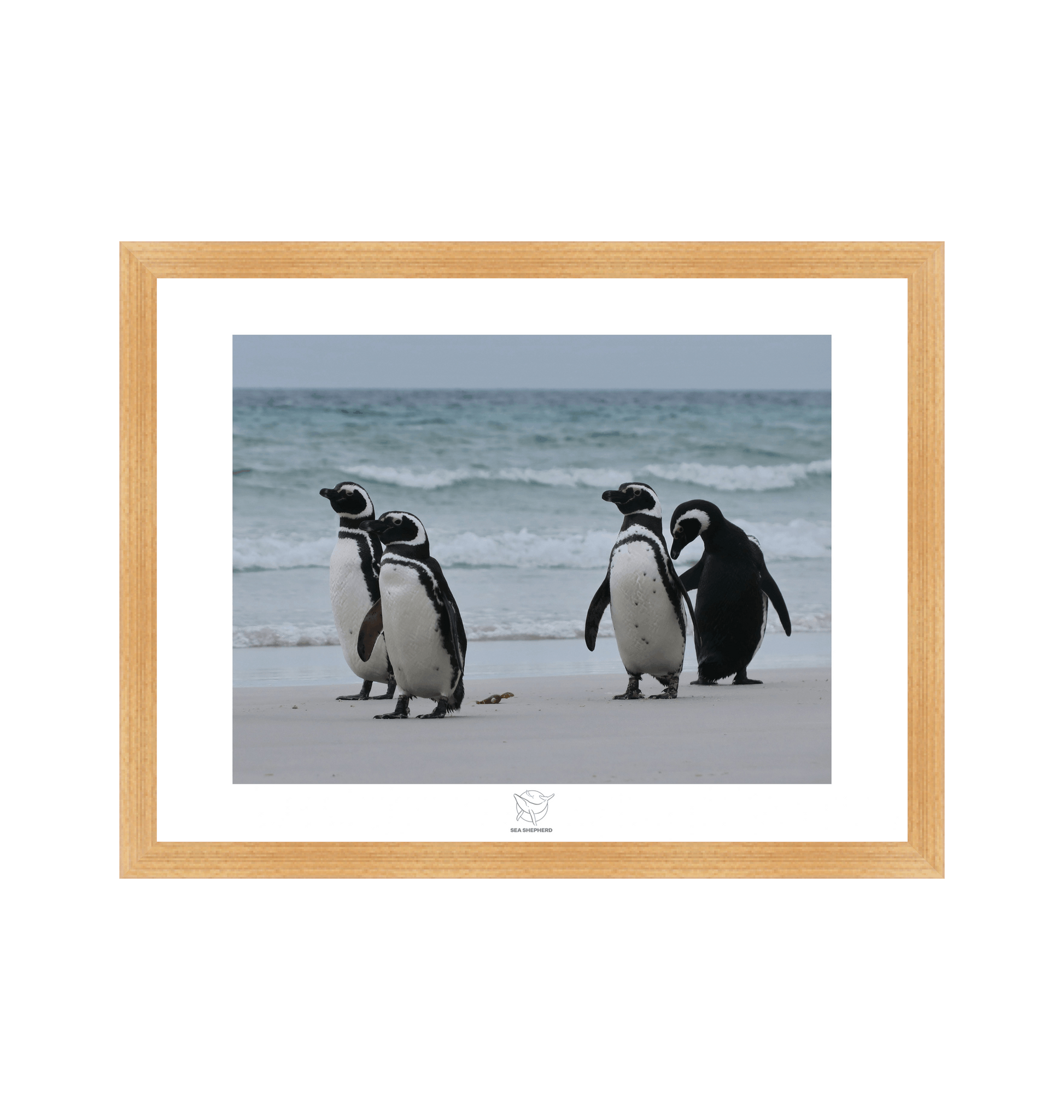 Natural Frame Fine art print Front