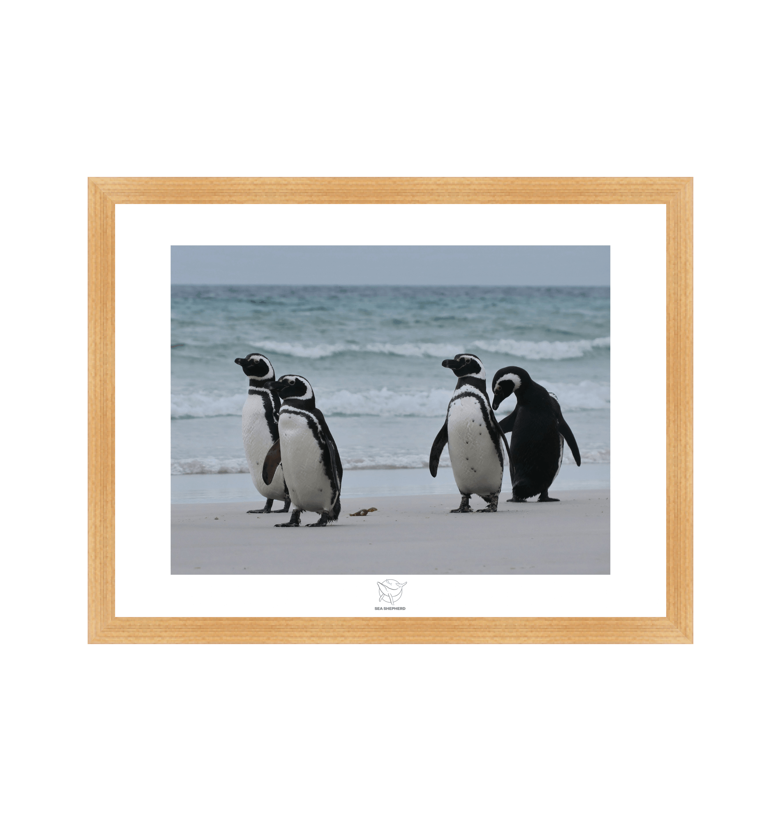 Natural Frame Fine art print Front
