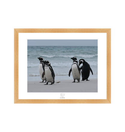 Natural Frame Fine art print Front