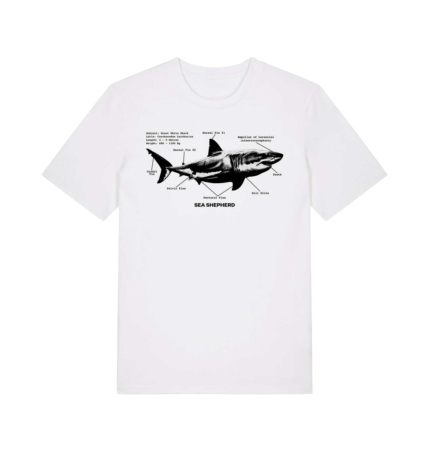 White Printed T-shirt Front