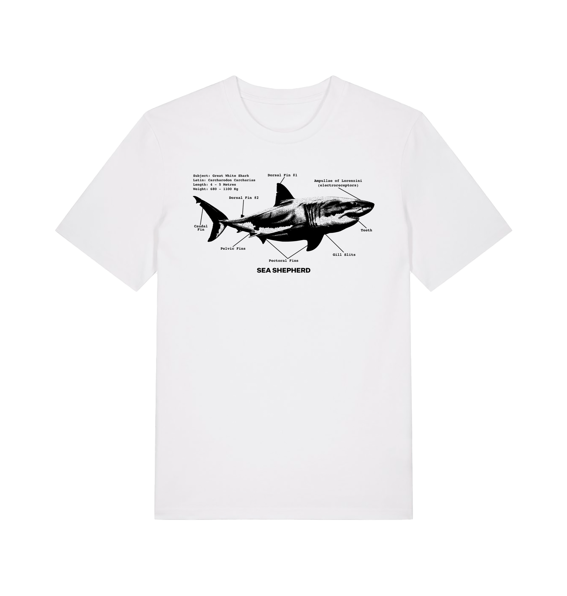 White Printed T-shirt Front