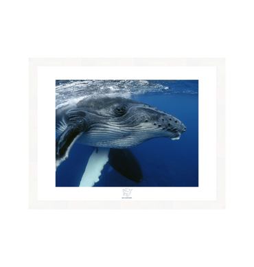 White Frame Fine art print Front