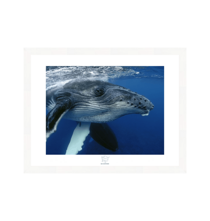 White Frame Fine art print Front