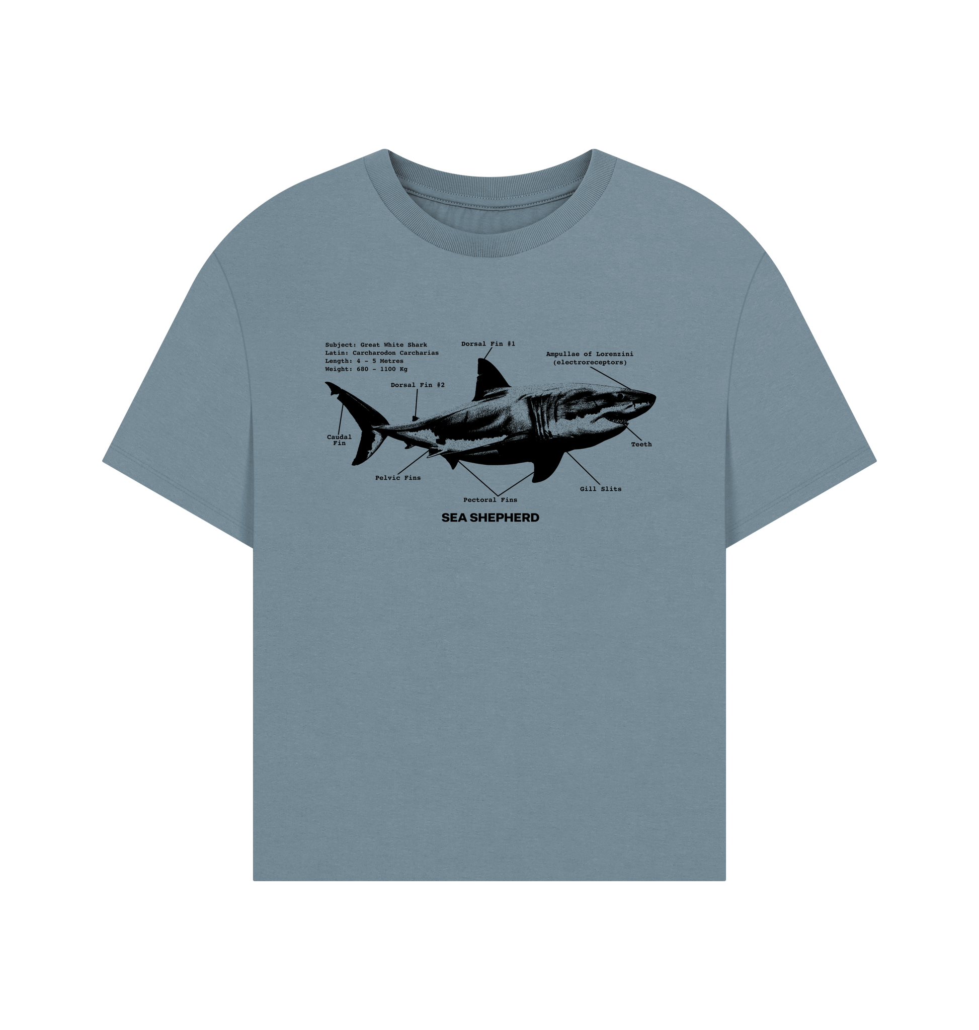 Stone Blue Printed T-shirt