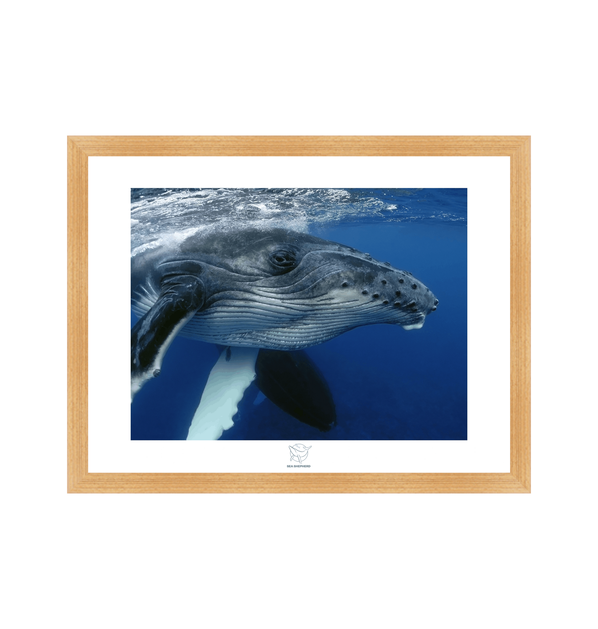 Natural Frame Fine art print Front