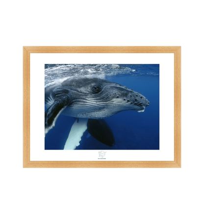 Natural Frame Fine art print Front