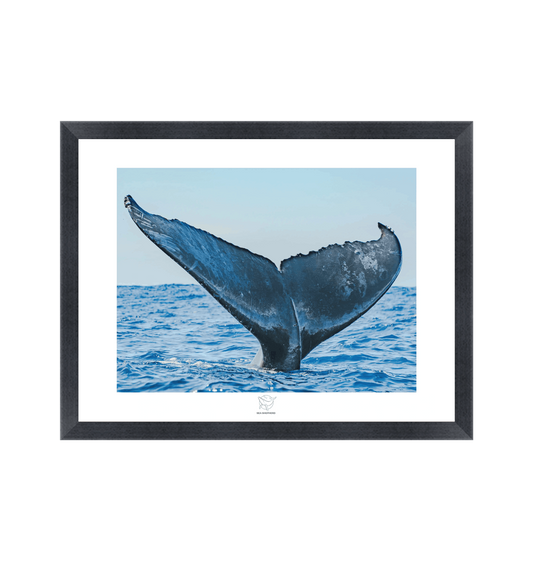 Black Frame Fine art print Front
