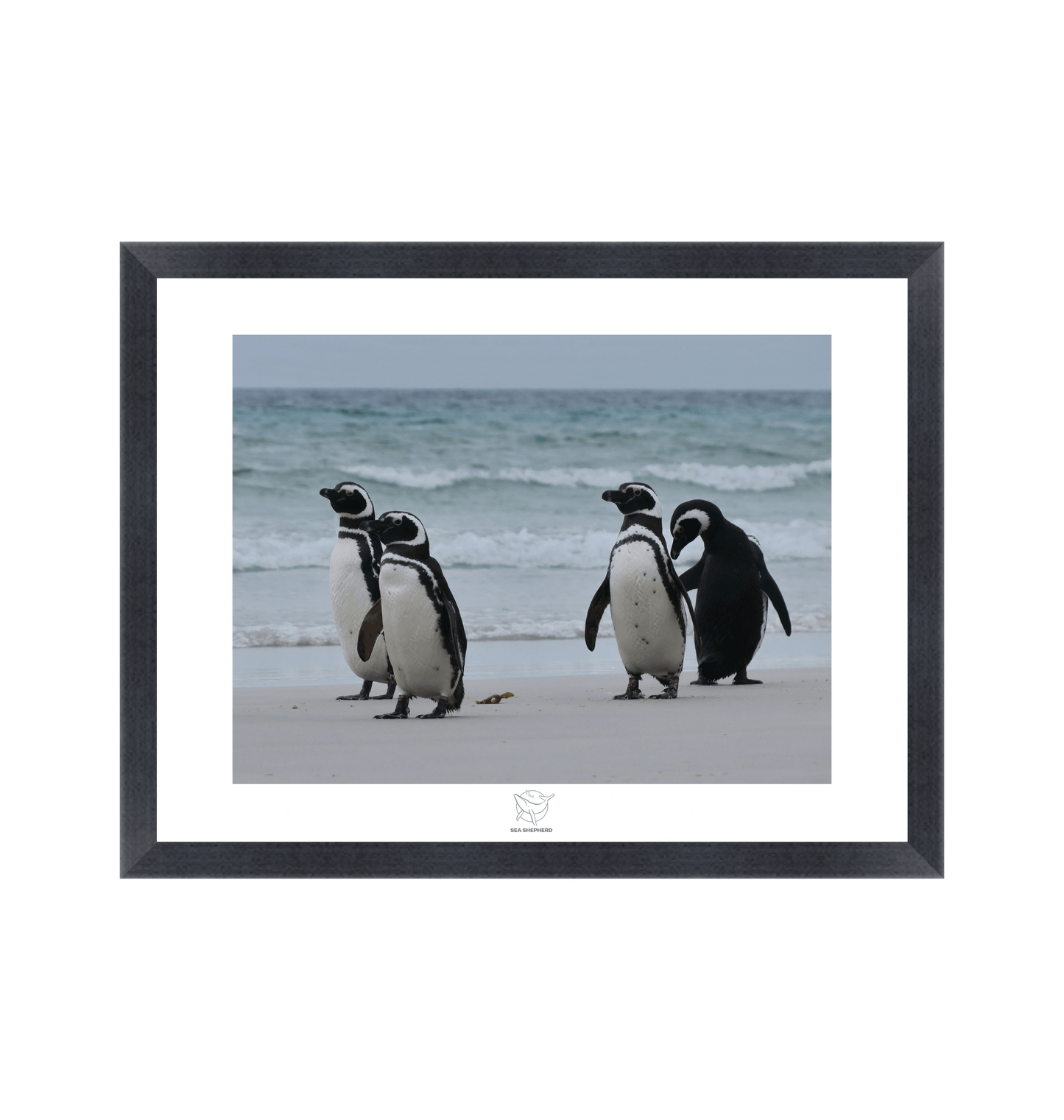 Black Frame Fine art print Front