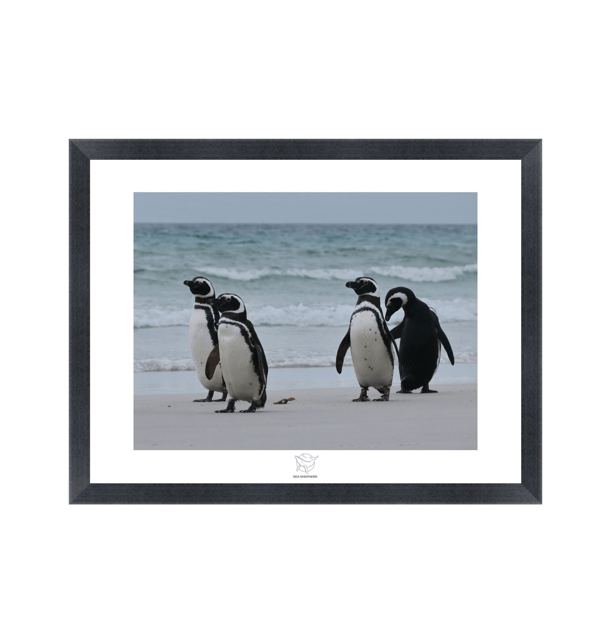 Black Frame Fine art print Front