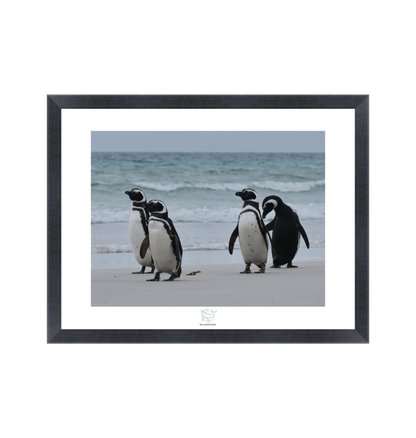 Black Frame Fine art print Front