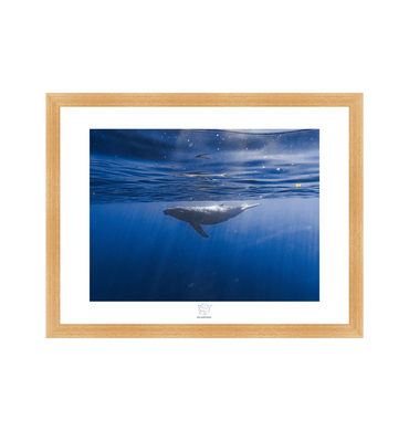 Natural Frame Fine art print Front