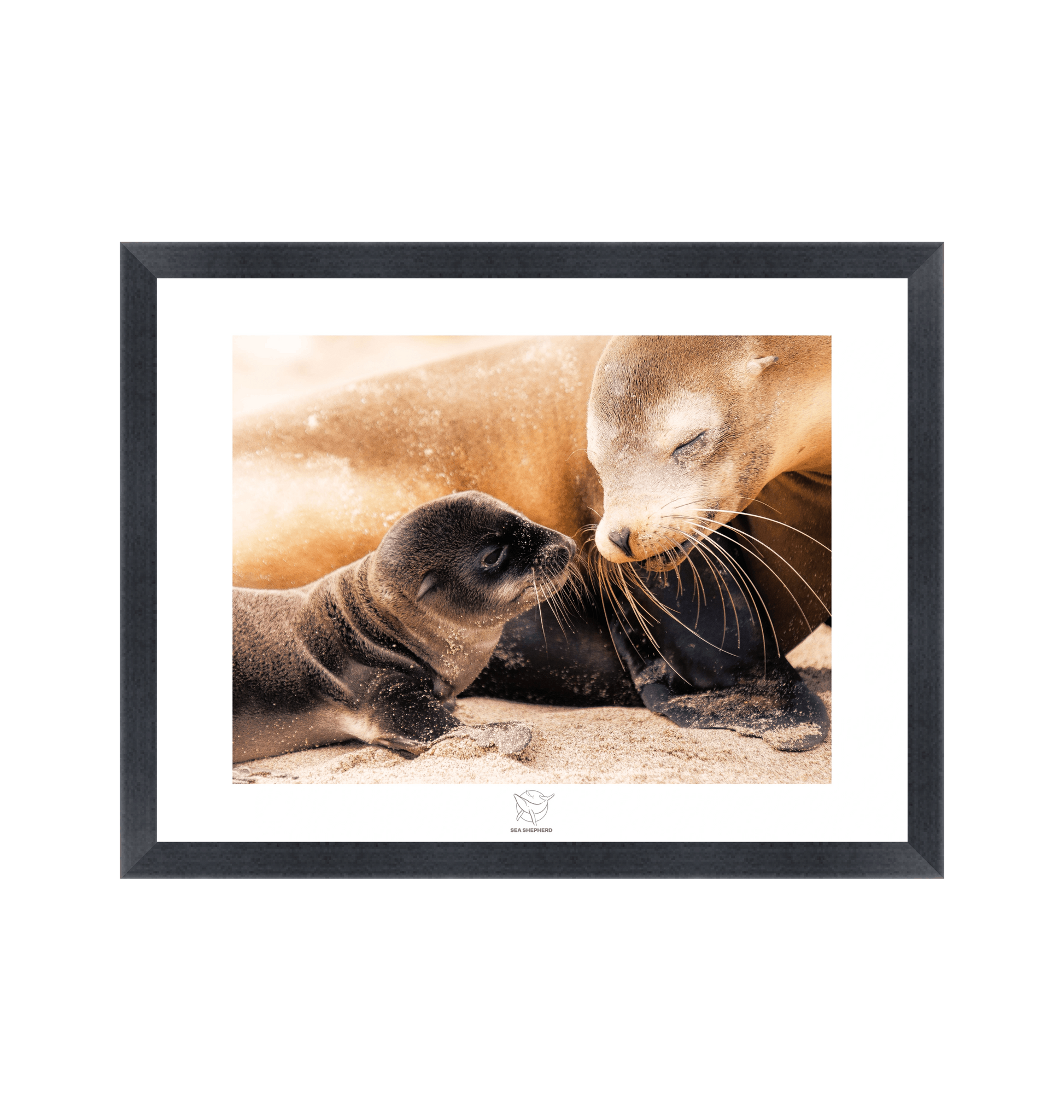 Black Frame Fine art print Front