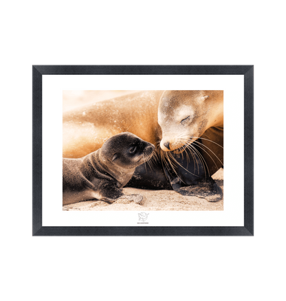 Black Frame Fine art print Front