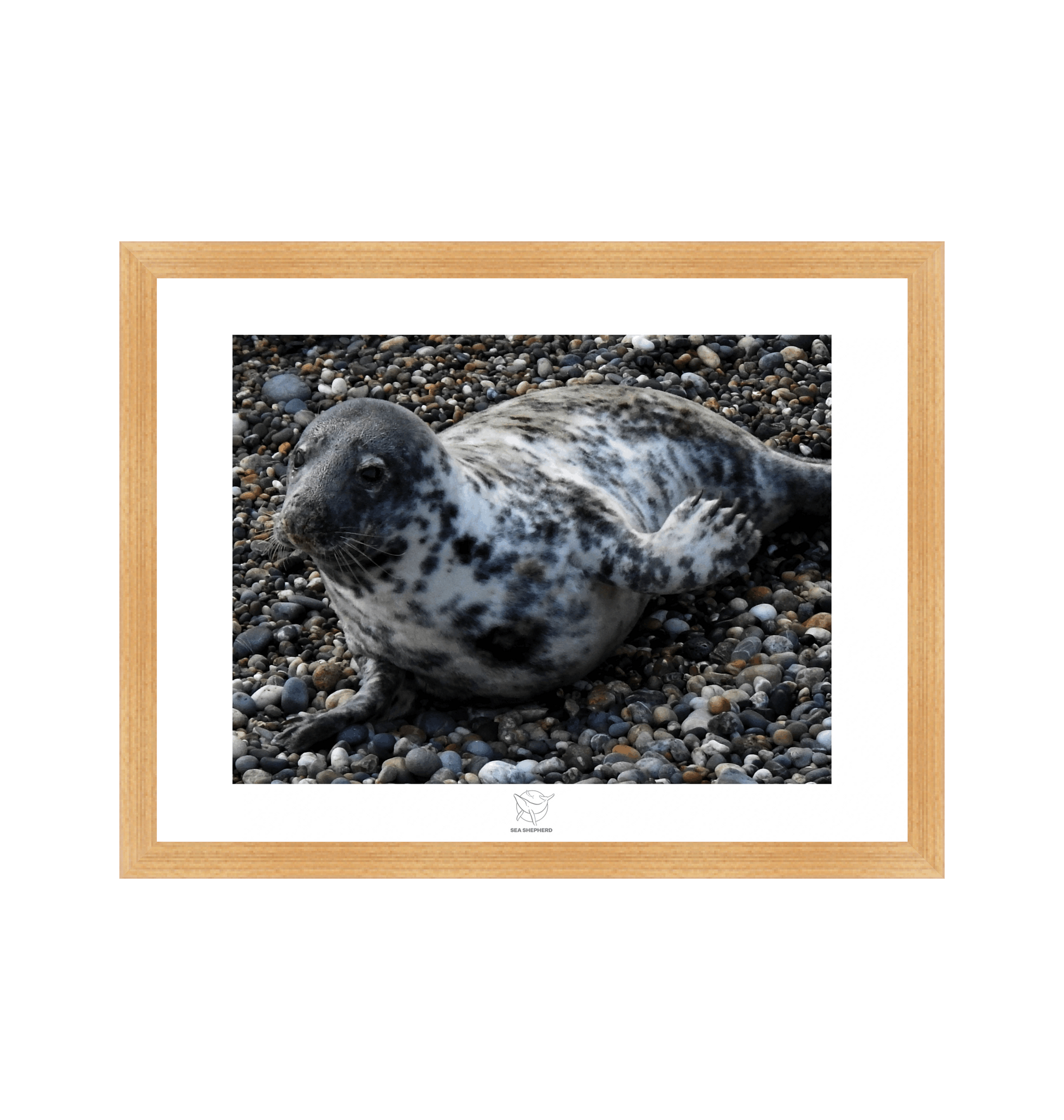 Natural Frame Fine art print Front
