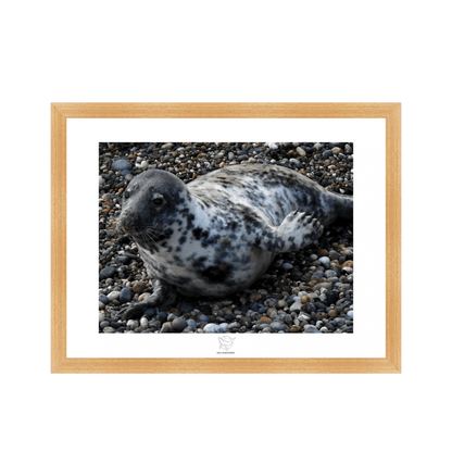 Natural Frame Fine art print Front