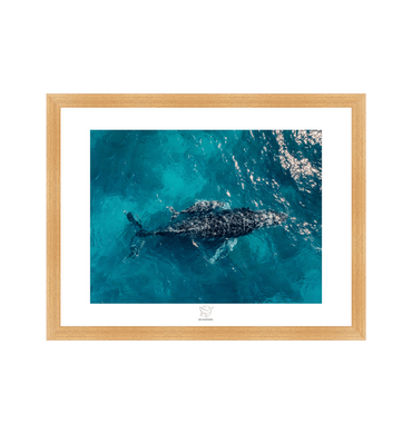 Natural Frame Fine art print Front