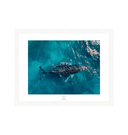 White Frame Fine art print Front