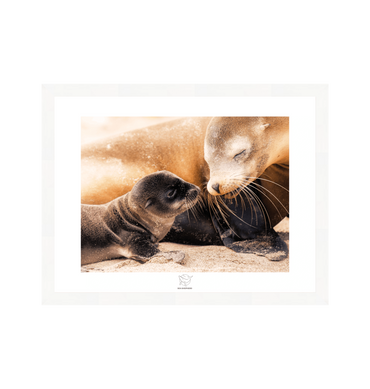 White Frame Fine art print Front