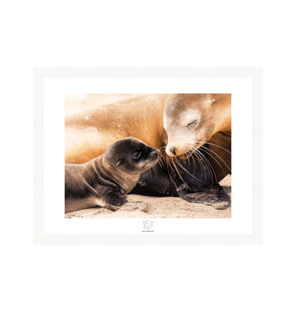 White Frame Fine art print Front