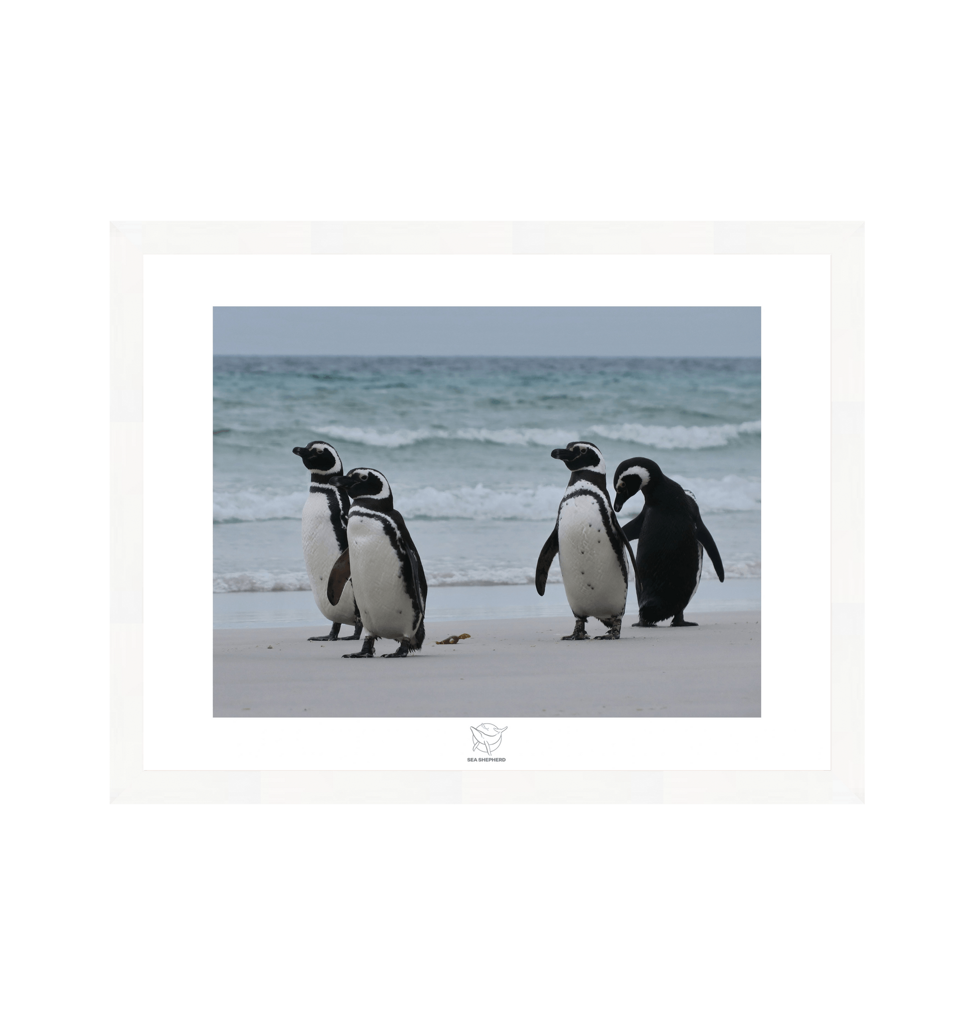 White Frame Fine art print Front