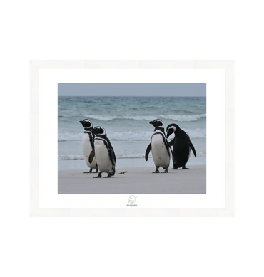 White Frame Fine art print Front