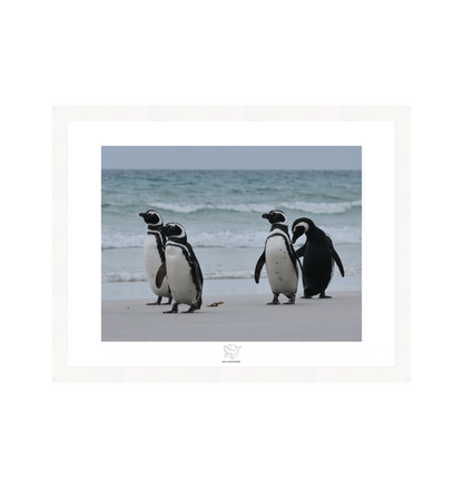 White Frame Fine art print Front