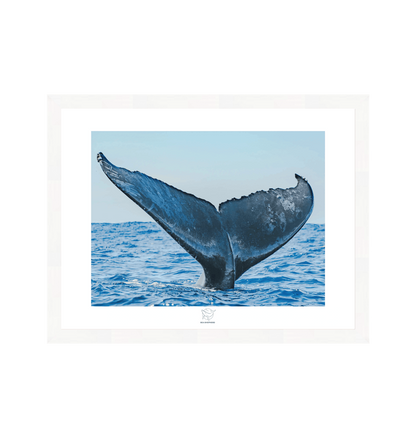 White Frame Fine art print Front