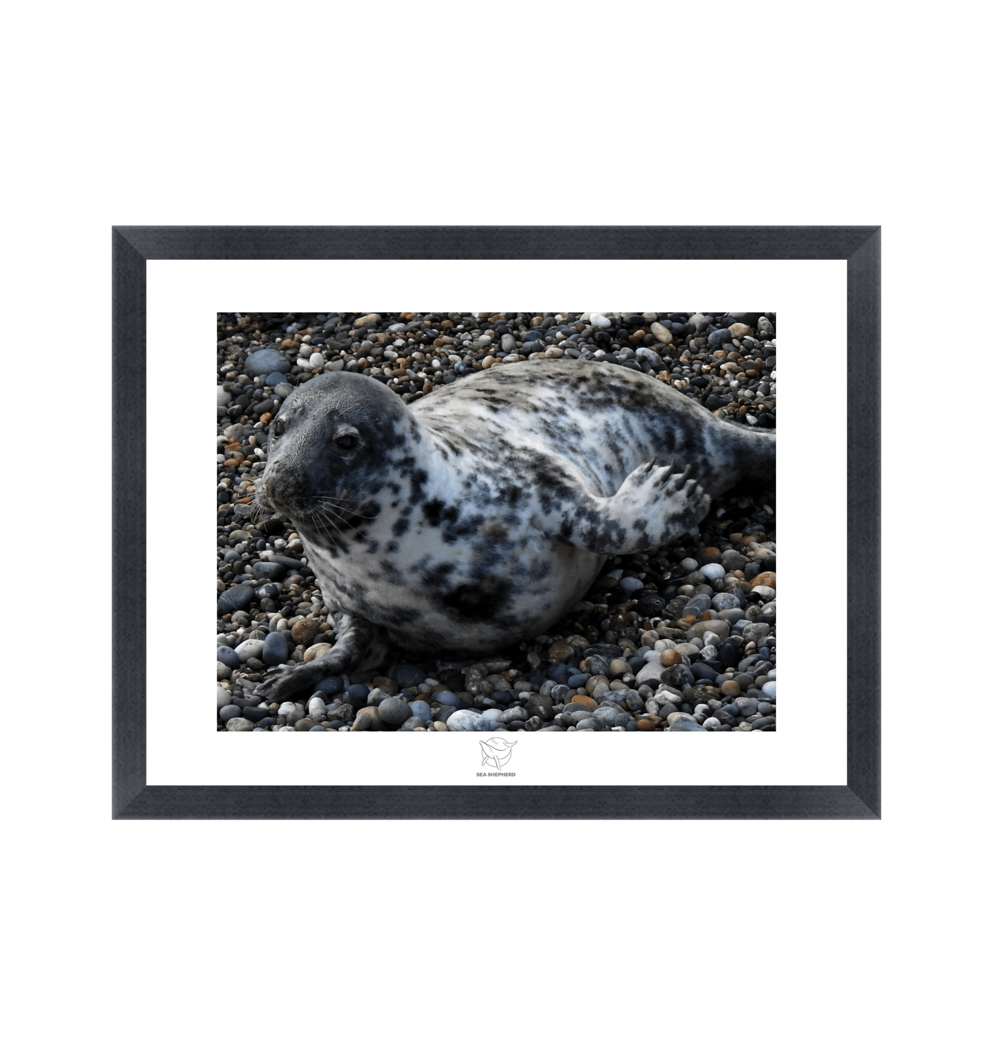 Black Frame Fine art print Front