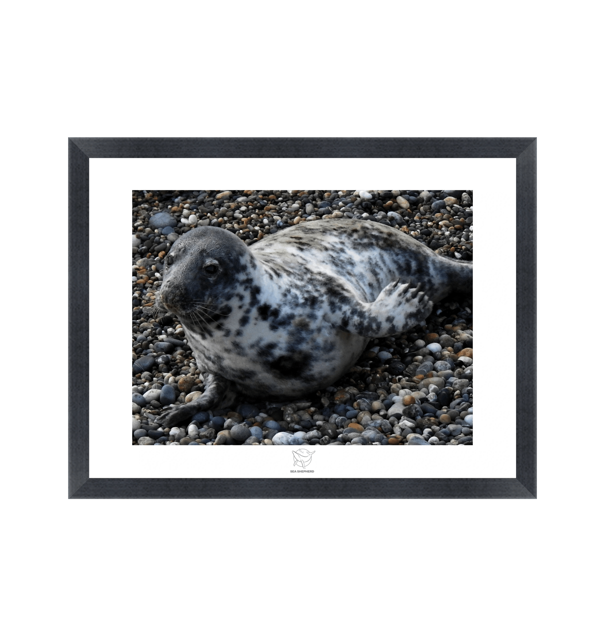 Black Frame Fine art print Front