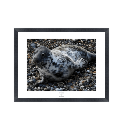 Black Frame Fine art print Front