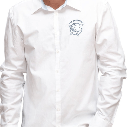 White Shirts & Tops