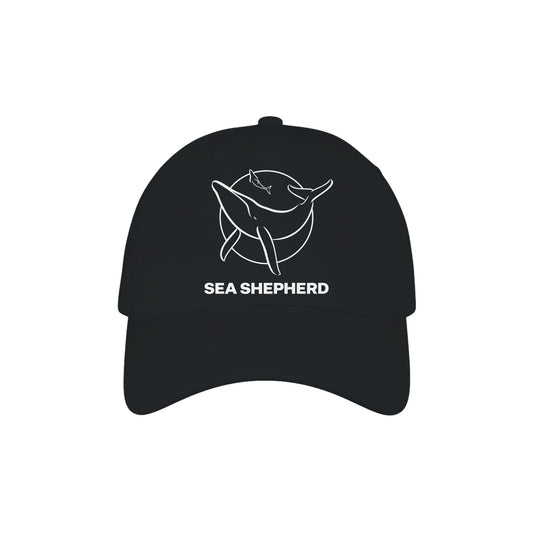 92ddecba-7798-47bd-8450-28dbc87412c4